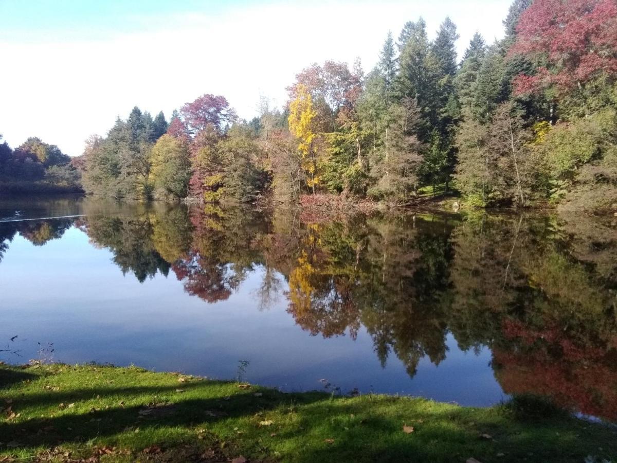Gite De L'Arboretum Dompierre-les-Ormes Bagian luar foto